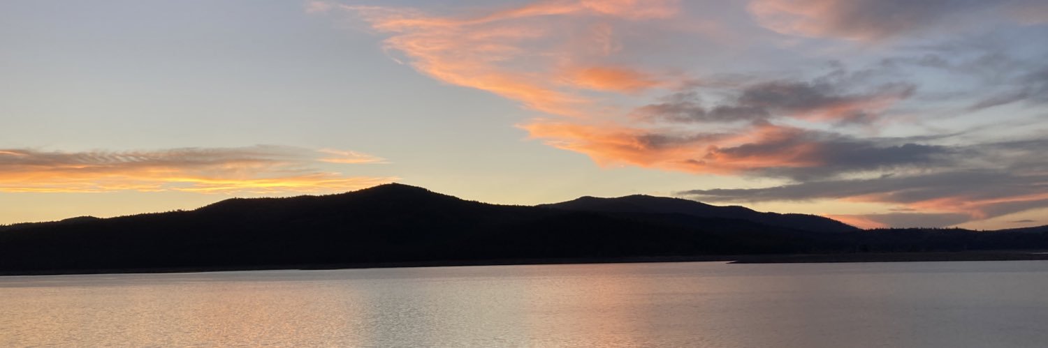 Leslie Sherrett banner