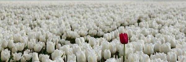 KimByrne9 Profile Banner