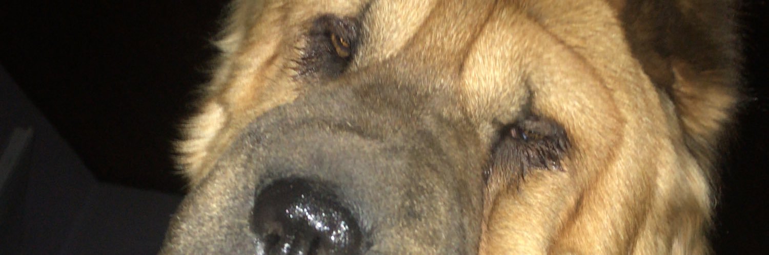 Anaaa_ferrari's profile banner image