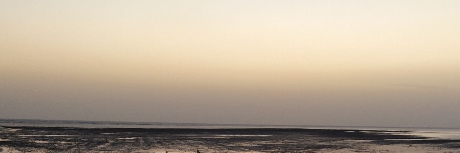 ShekharShashibi's profile banner image
