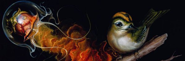 utotranslucence Profile Banner