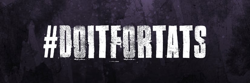 Carnegie Aviators banner