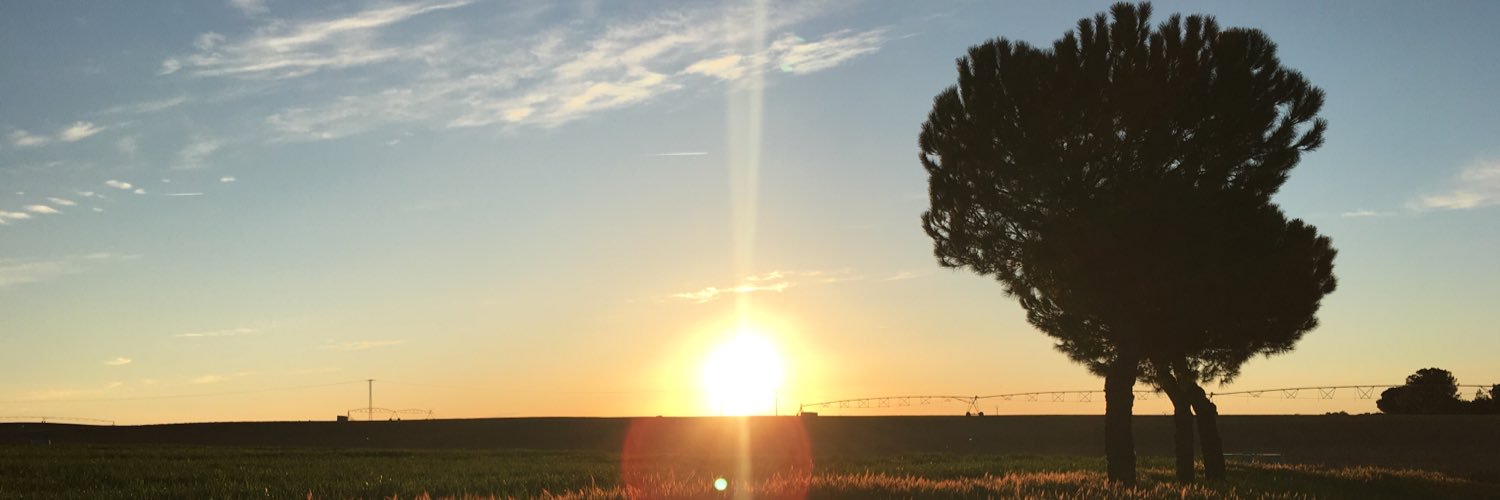 CorXo95's profile banner image