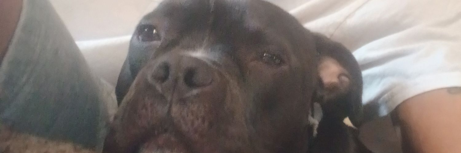 Kenphetti's profile banner image