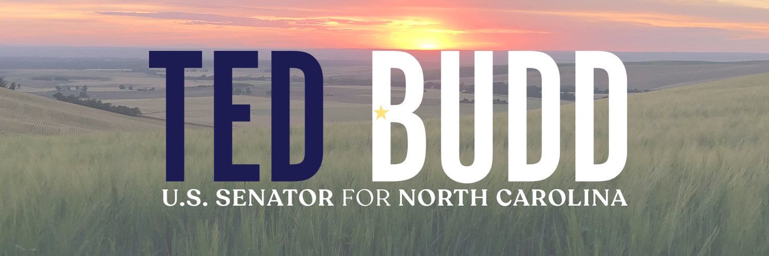 Senator Ted Budd's banner