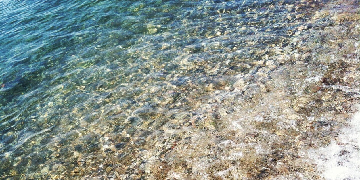 labossina's profile banner image