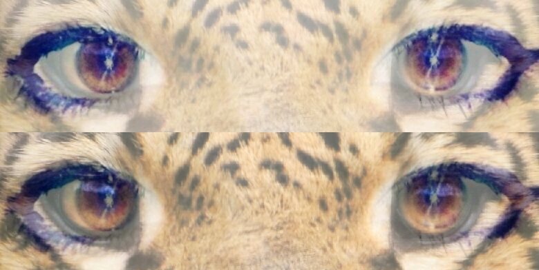 bertaperianes's profile banner image