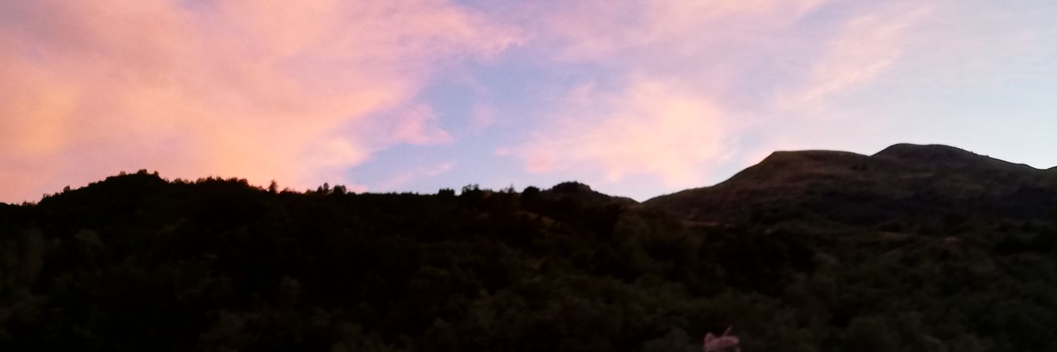Elenapinseque's profile banner image