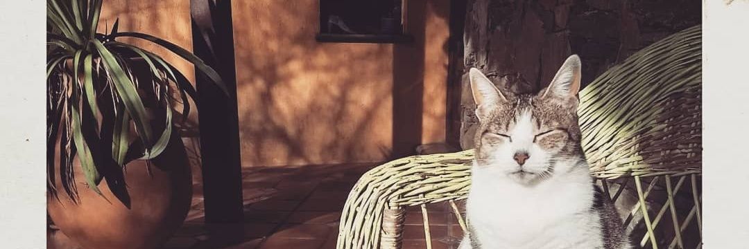 agostav's profile banner image