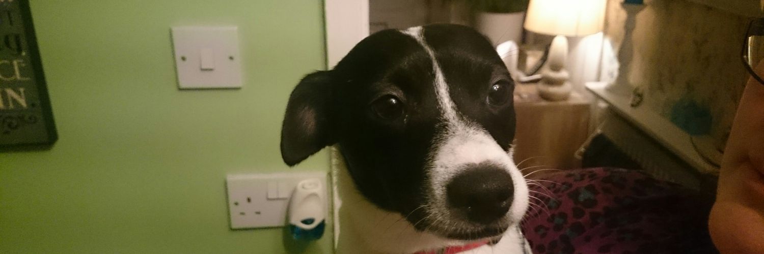 spotleyboy's profile banner image