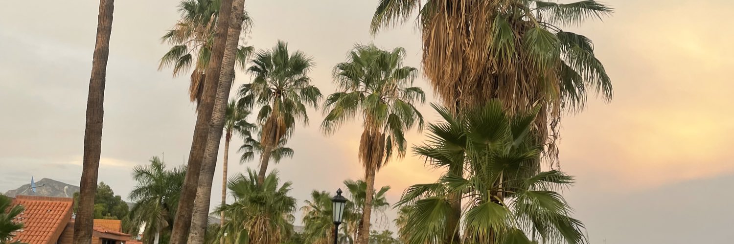 Vmontes24's profile banner image