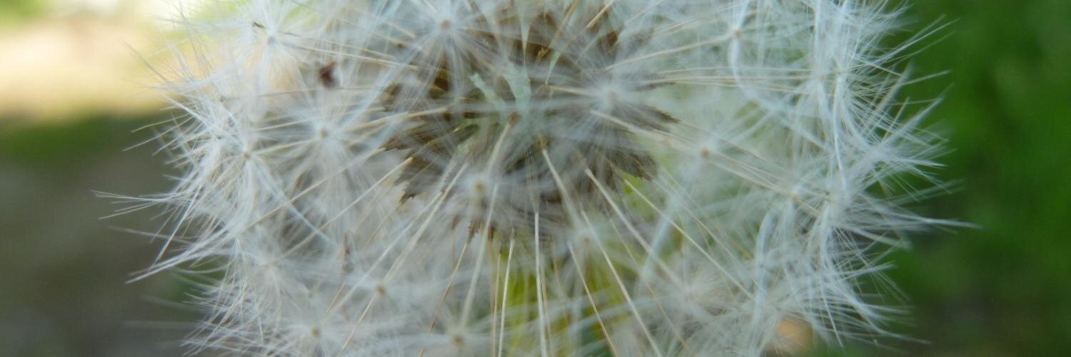 xtc ⚡️🏀⚠️ banner