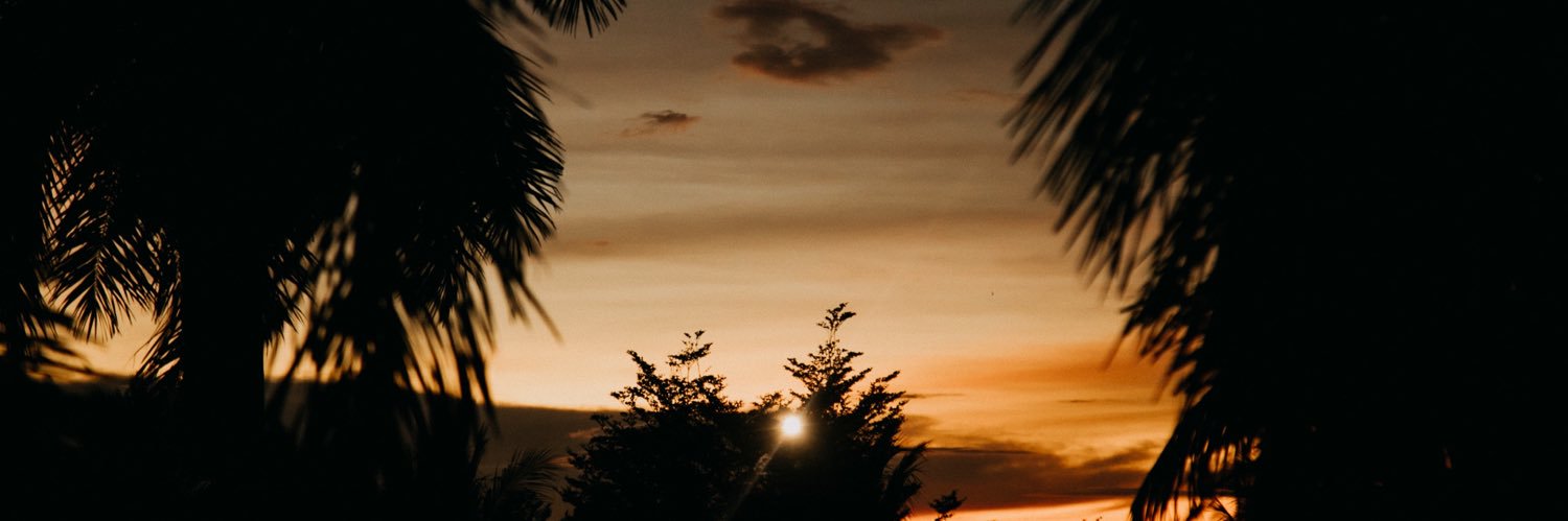 viiiiinnn's profile banner image