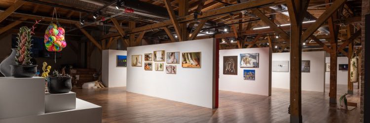 Mamut Art Project banner