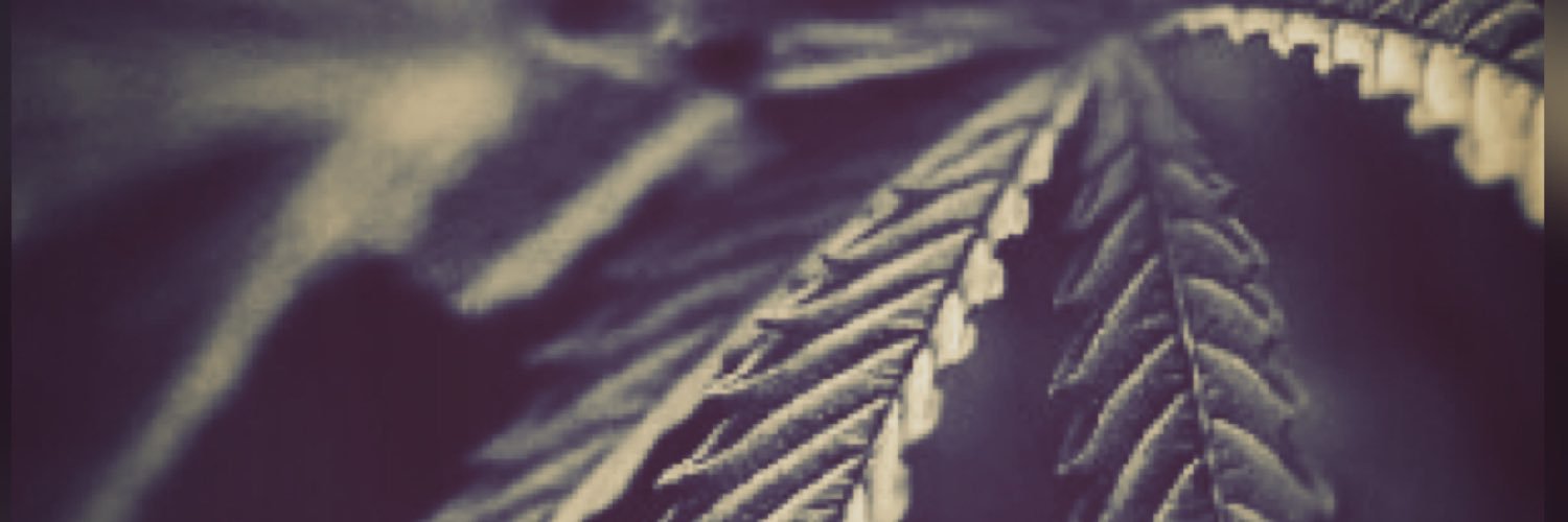 therealdabdays's profile banner image