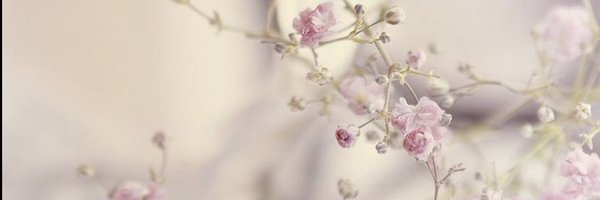 Non_1707 Profile Banner