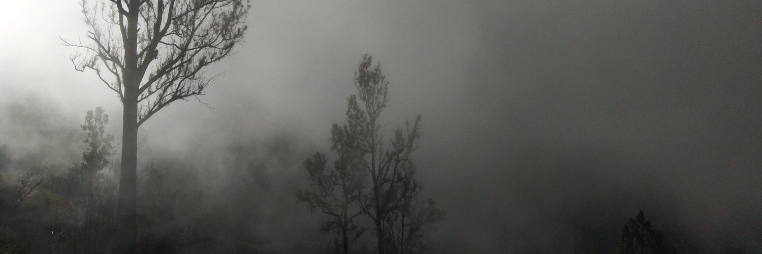 siegi_'s profile banner image