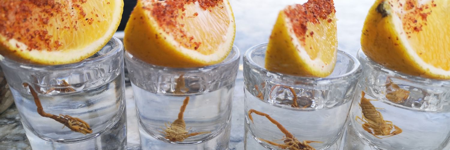 Ángel Páyer Jiménez banner