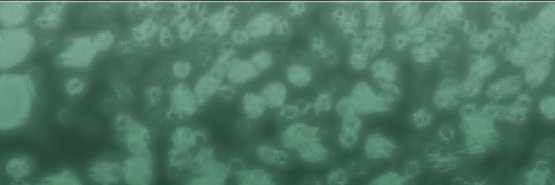 Biosensors's banner