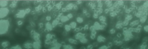 Biosensors_MDPI Profile Banner