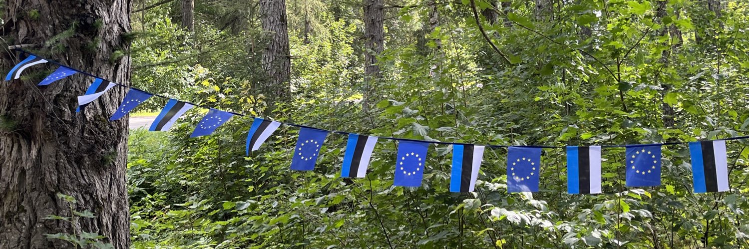 Kyllike Sillaste banner