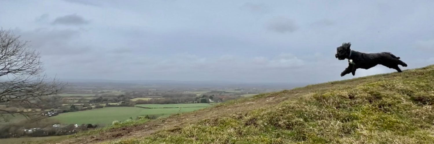 Stuart Lauchlan banner