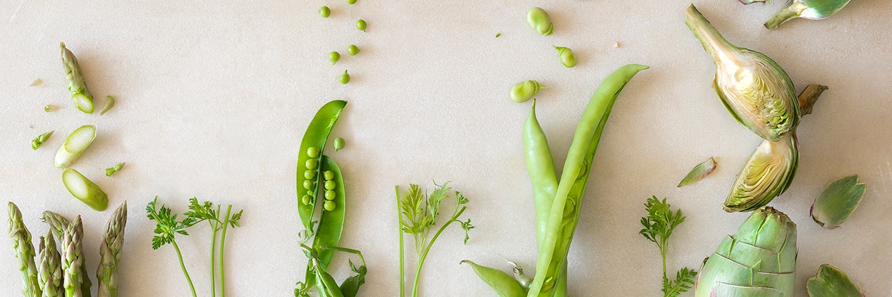 Real Academia de Gastronomía banner