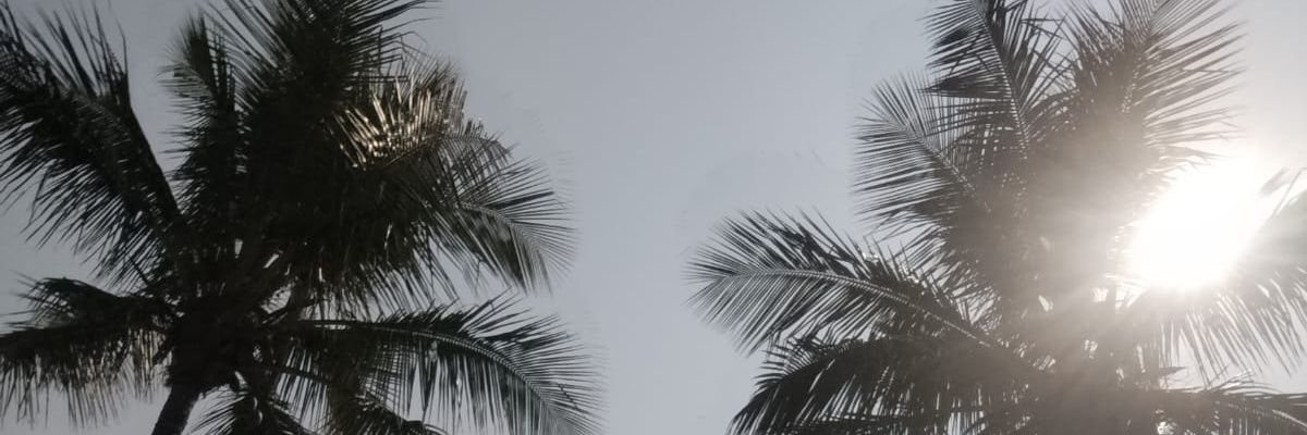 Bya4's profile banner image