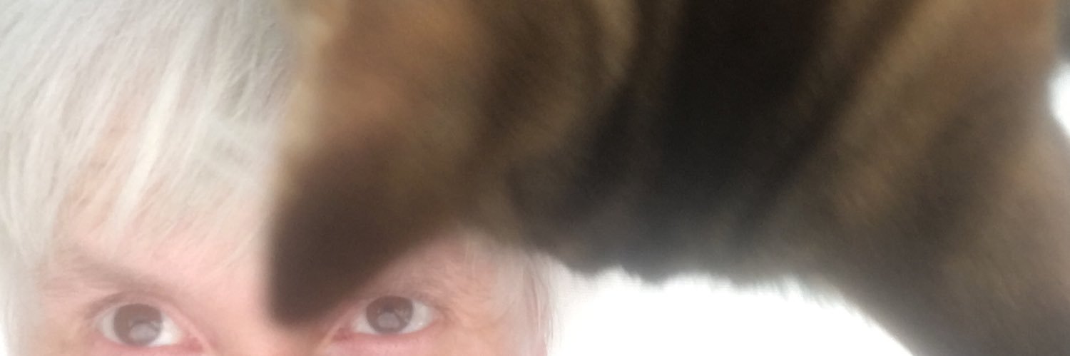 Maria Windhager banner