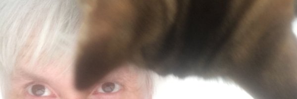 MariaWindhager Profile Banner