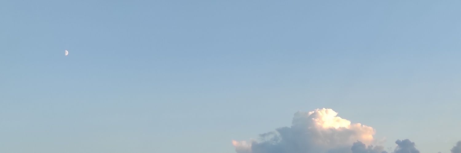 plowaki's profile banner image