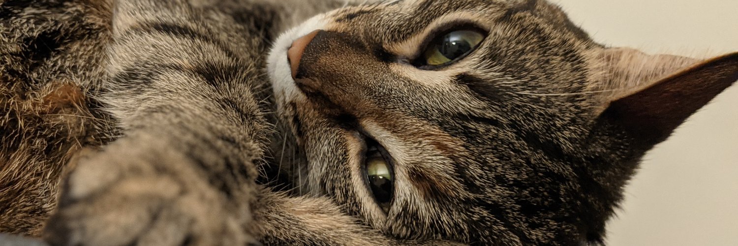 David Fernández banner