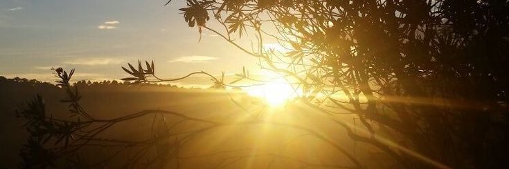 Rojda Altintaş banner