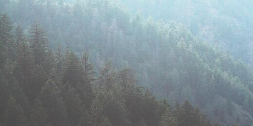 aromatharry's profile banner image