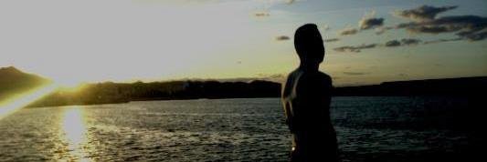 MarthaFuster's profile banner image