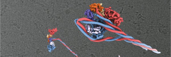 DrScarff Profile Banner