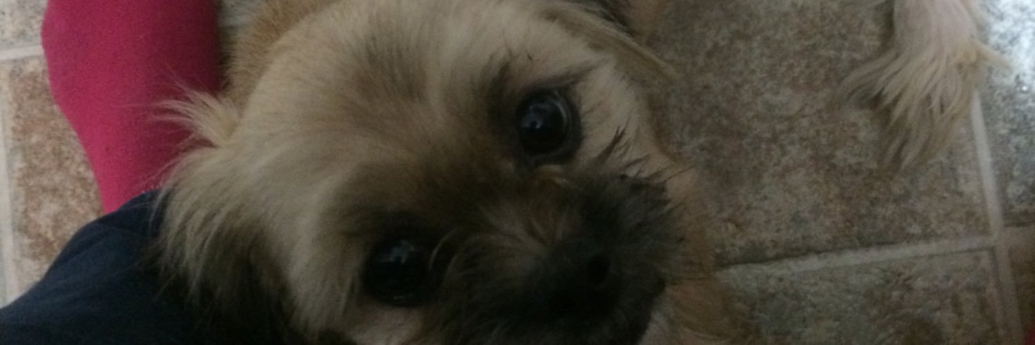 wolfie282's profile banner image