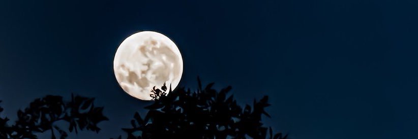 lo_sa00's profile banner image