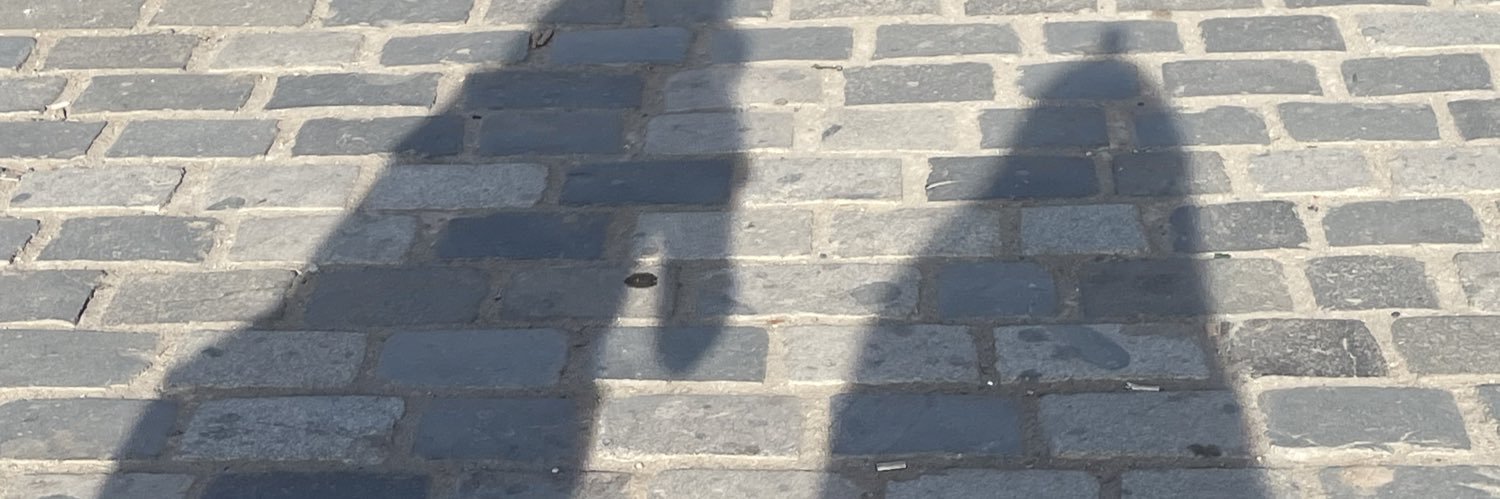 fusterelle's profile banner image
