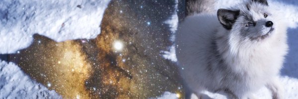 ttt_zegu952 Profile Banner