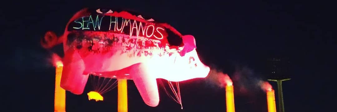 SuuNavarro's profile banner image