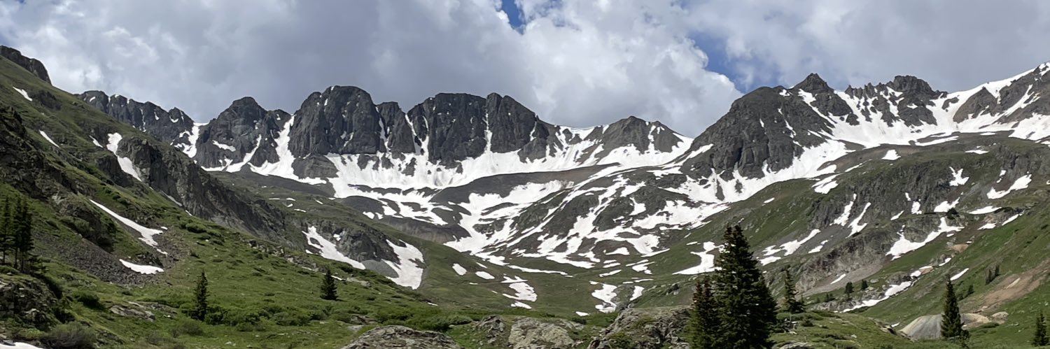 Brenda Aldridge banner