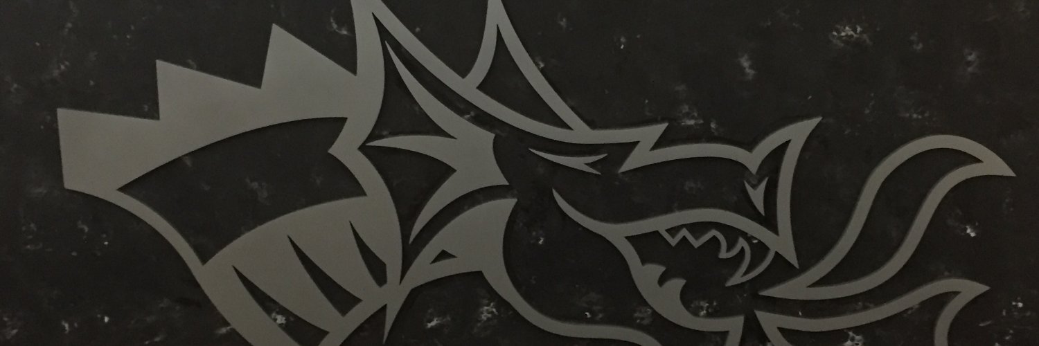 DragonsPerform's profile banner image