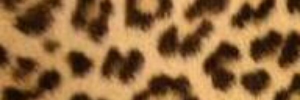 Effiemagic Profile Banner