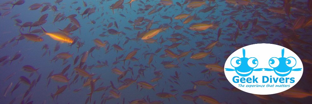 geekdivers's profile banner image