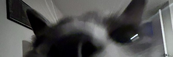 fabdotsound Profile Banner