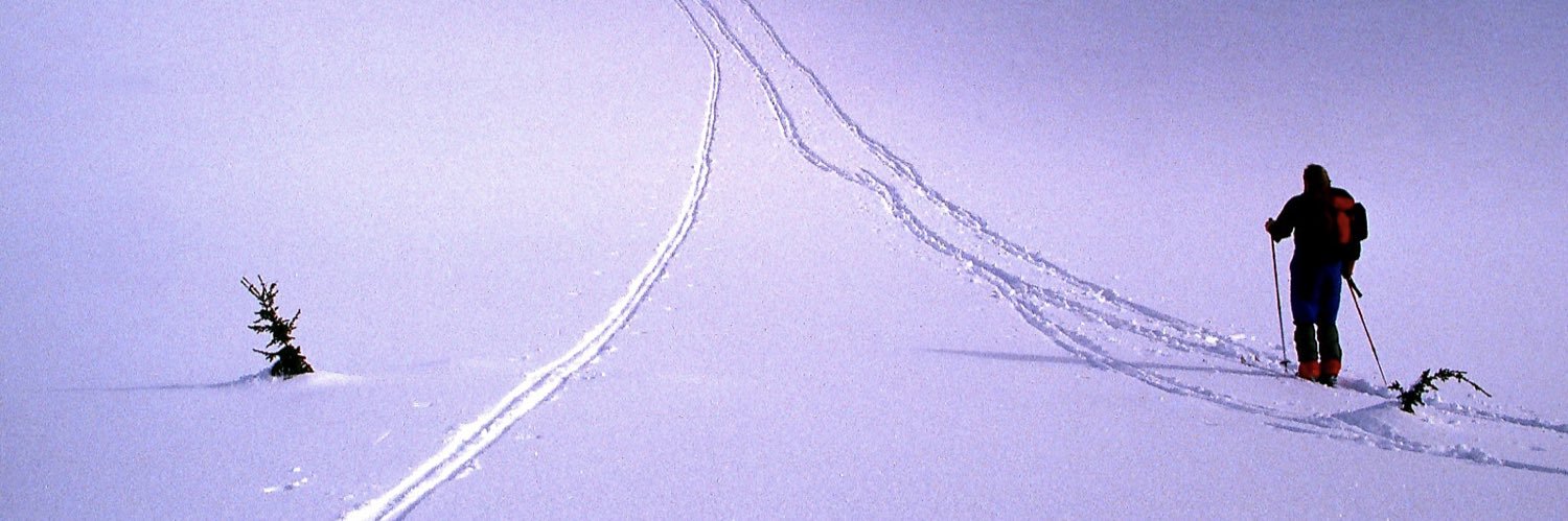 Colors of Light banner