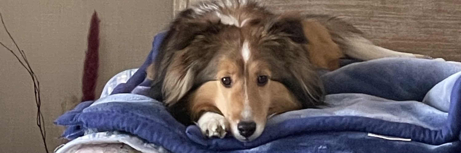 セッツァMobil banner