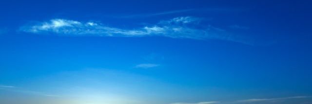 Saadia banner