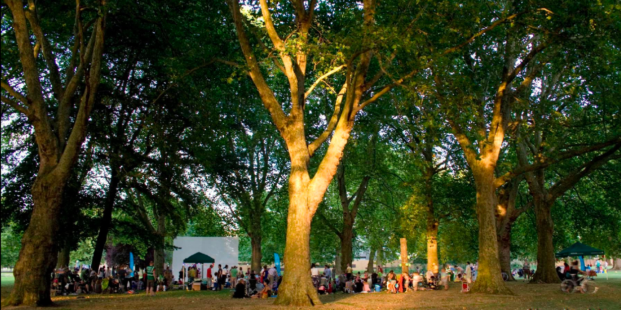 The Tree Circle's banner
